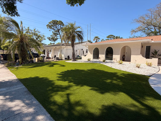 Backyard & Leisure Turf