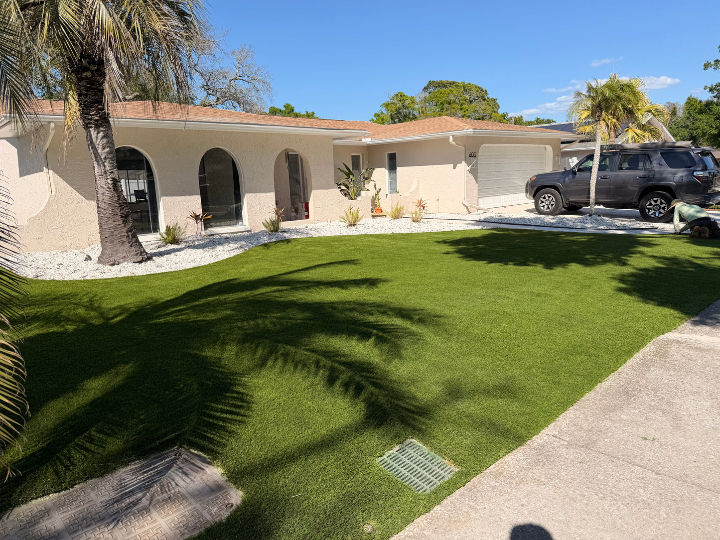 Backyard & Leisure Turf