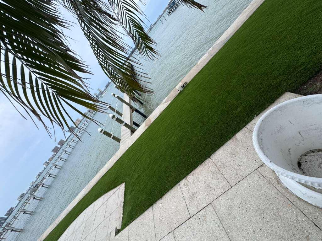 Pool Area Turf