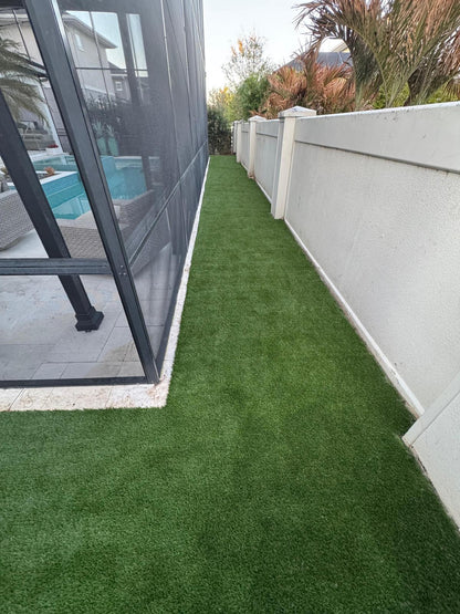 Pool Area Turf